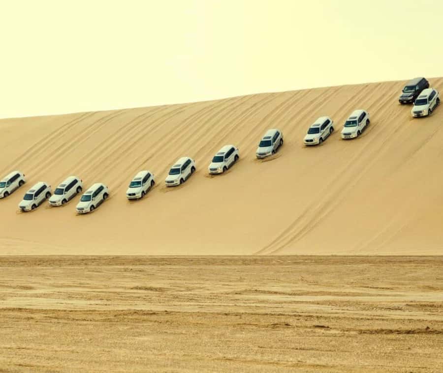 Doha: Desert Safari with Camel Ride and Quad Bike and Buggy - The inland sea is the scenic high point