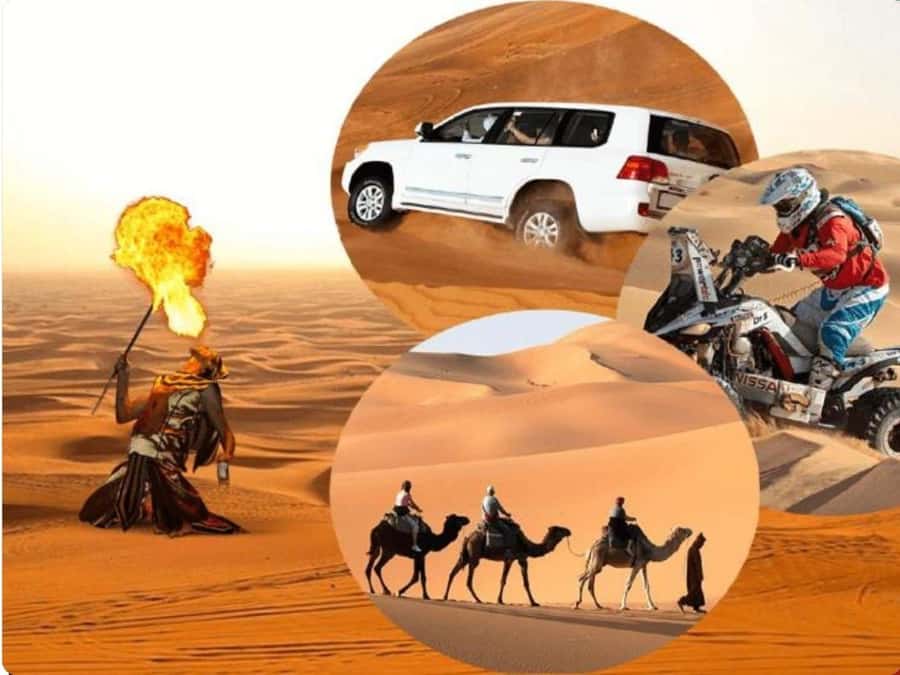 Doha:Desert Safari with Camel Ride, ATV Bike,& Sand Boarding - Why this outing works for a first desert visit