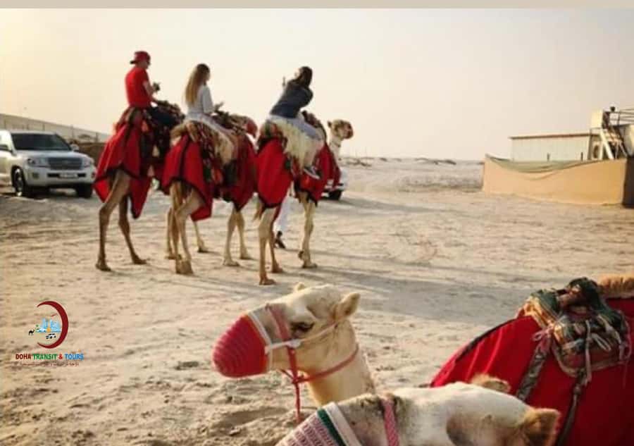 Doha: Desert Safari with Dune Bashing and Inland Sea - The ride back to Doha