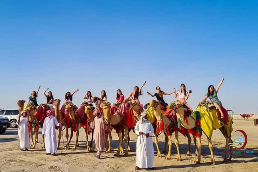 Doha: Desert Safari with Dune Bashing and Inland Sea - Should you book this tour?