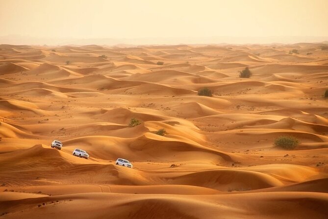 Doha: Desert Safari With Quad bike ,Camel Ride And Sand Boarding - Is $60 a fair price for four hours?