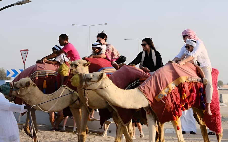 Doha: Desert Safari with Quad Bike, Sandboard & Camel Ride - Camel rides, falcons, and a short taste of Bedouin life