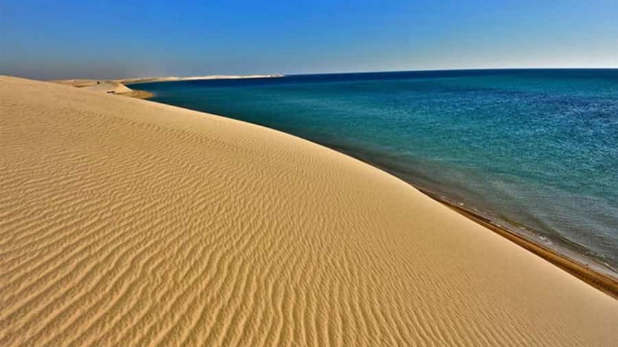 Doha: DesertSafari with Quad Bike, Camel Ride & Sandboarding - Taking control on the optional quad bike