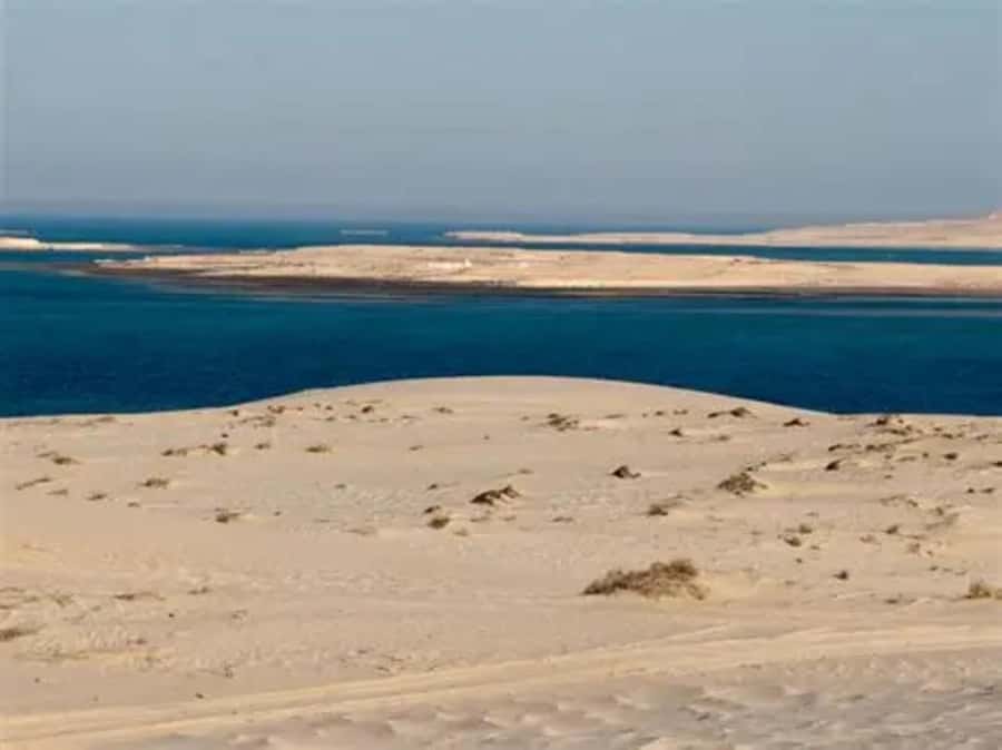 Doha: DesertSafari with Quad Bike, Camel Ride & Sandboarding - Sandboarding down the soft dunes