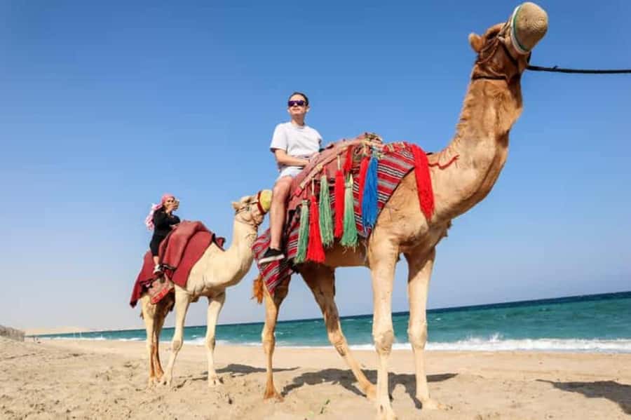 Doha: DesertSafari with Quad Bike, Camel Ride & Sandboarding - Who will enjoy this safari most