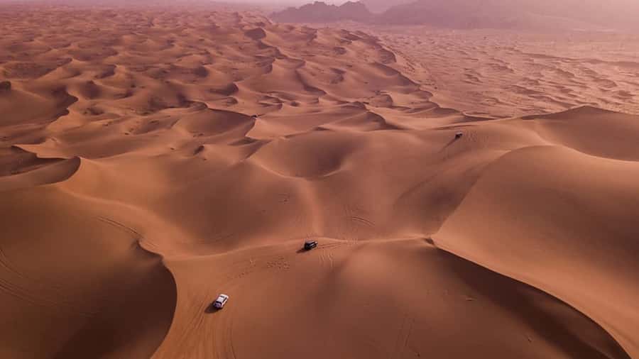 Doha: Dune Bashing Safari, Falcon, Camel, ATV, Sandboarding - Key points before you book