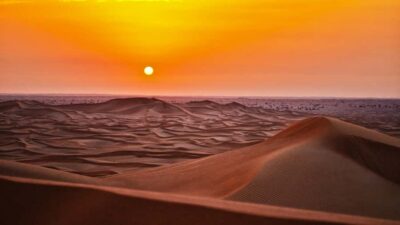 Dune Bashing Safari, Falcon, Camel, ATV, Sandboarding