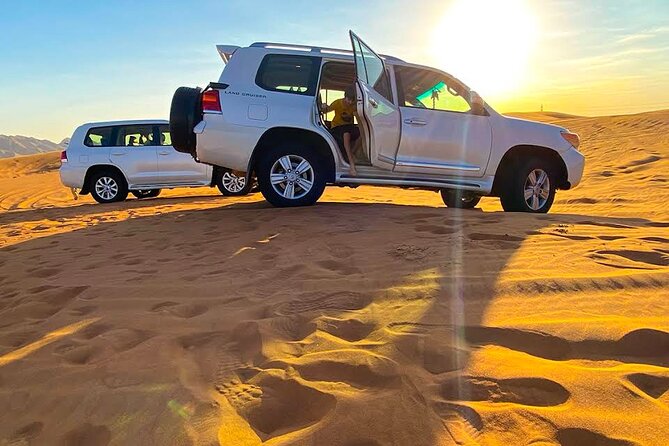 Doha: Escape to Eternity, Relaxing Desert Wonders with Camel Ride - Mesaieed, camels, falcons, and Bedouin tea