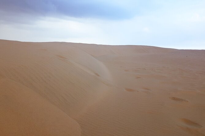 Doha: Escape to Eternity, Relaxing Desert Wonders with Camel Ride - What $79 buys you