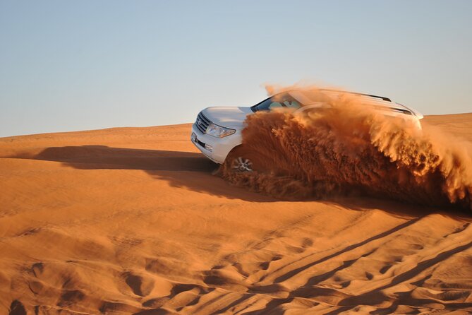 Doha: Escape to Eternity, Relaxing Desert Wonders with Camel Ride - Who should book this Doha desert trip?