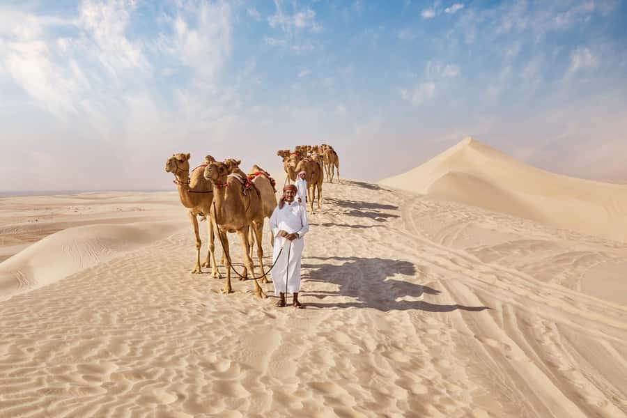 Doha Full Day Guided Tour in Qatar North and West - Zubarah Fort and Qatar’s early settlements