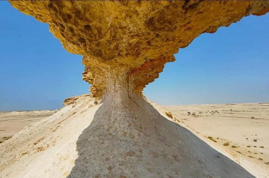 Doha: Full-Day North and West Tour with Forts and Qatari - Al Khor harbor and the northern coast