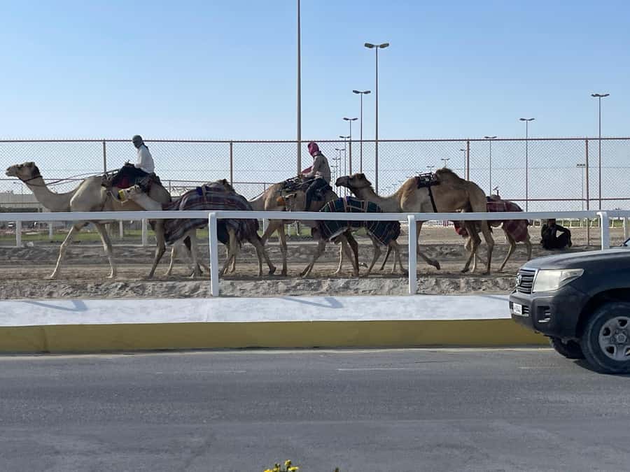 Doha Full Day North & West Tour | Rich History & culture - Seeing the remains of old Qatari villages