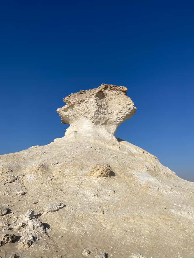 Doha Full Day North & West Tour | Rich History & culture - What the ride and timing are really like