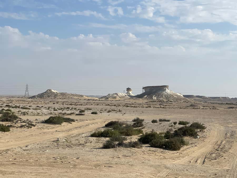 Doha Full Day North & West Tour | Rich History & culture - Walking through Al Thakira mangroves