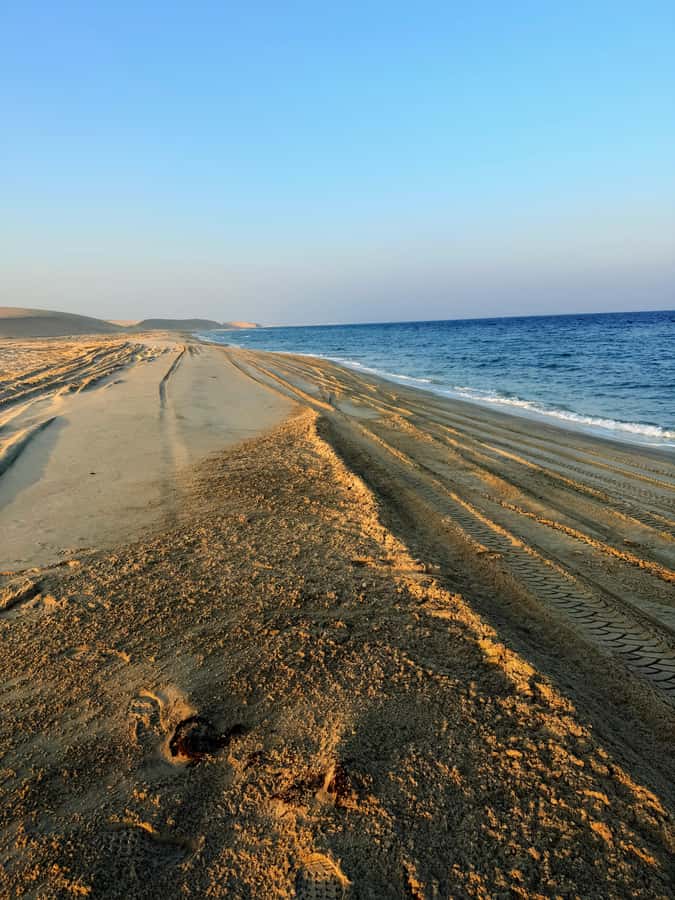 Doha: Guided Desert Safari Tour with Pickup & Drop Service - What the $26 price really gives you