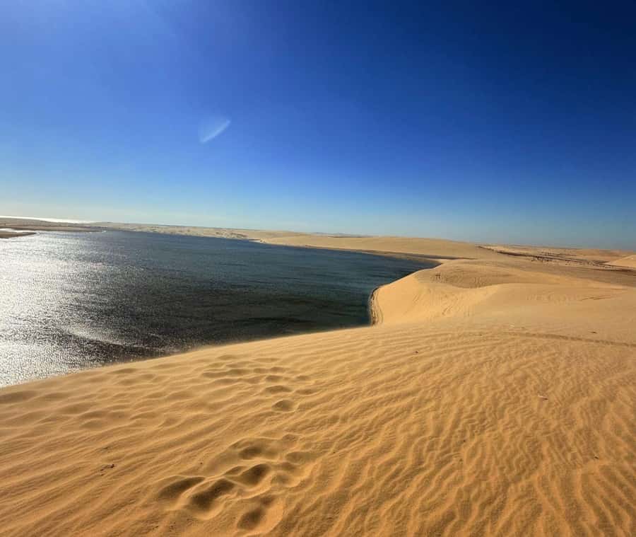 Doha: Guided Desert Safari Tour with Pickup & Drop Service - How to prepare for a smoother safari