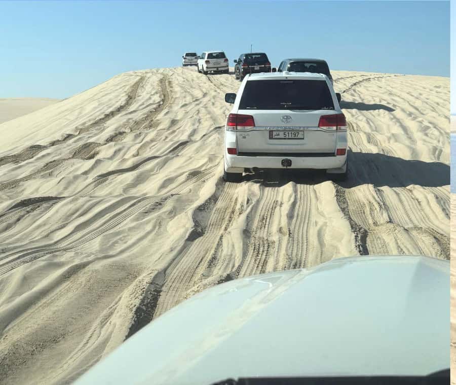 Doha: Guided Desert Safari Tour with Pickup & Drop Service - Who should book this desert tour?