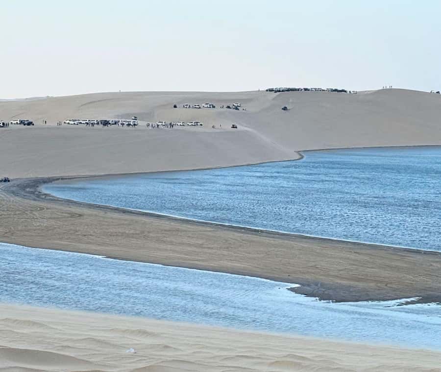 Doha: Guided Desert Safari Tour with Pickup & Drop Service - Sealine Beach: camels, sandboards, and a short break