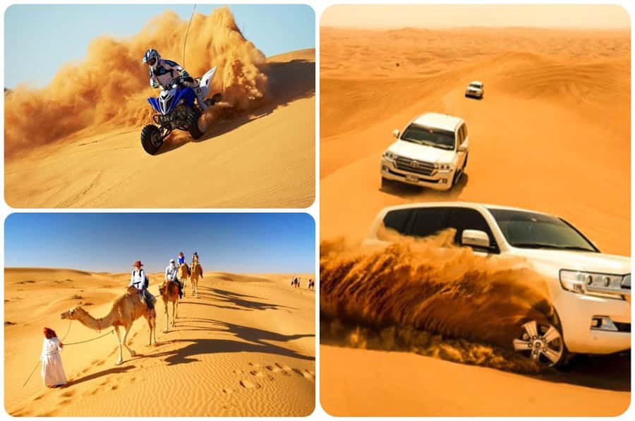 Doha: Half Day Desert Safari, Dune Bashing, Camel Ride - The return drive makes the timing easy to manage