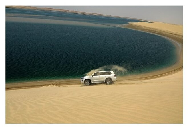 Doha Half Day Desert Safari Dune Bashing CamelRide & Sandboarding - What the $44 price really covers