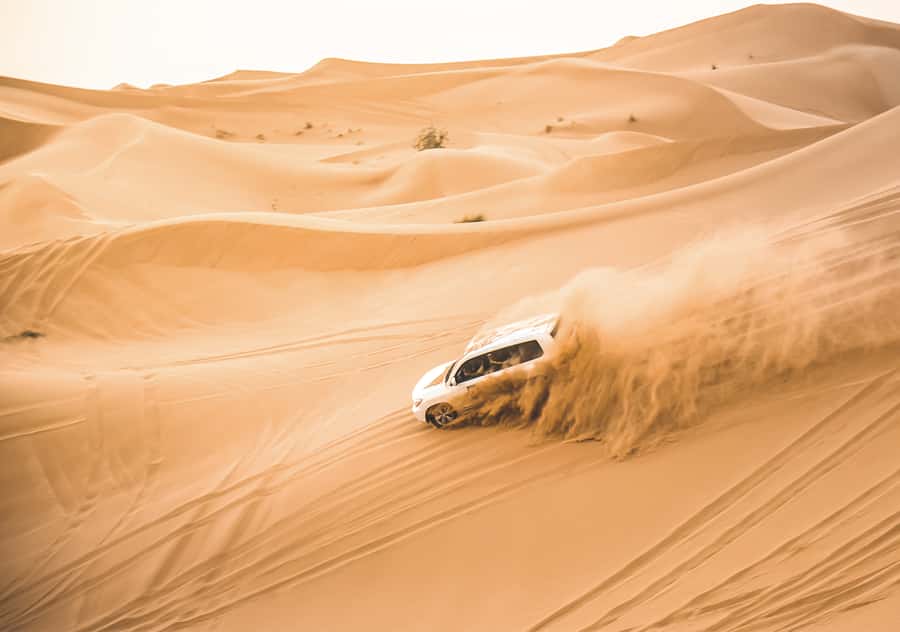 Doha: Half-Day Desert Safari, Quad Bike, Camels & Inland Sea - Camel photos and a short first taste of the desert