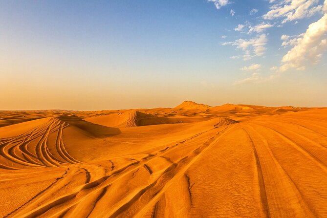 Doha Half Day Desert Safari with Camel Ride and Sand Boarding - Who will enjoy this half-day safari?