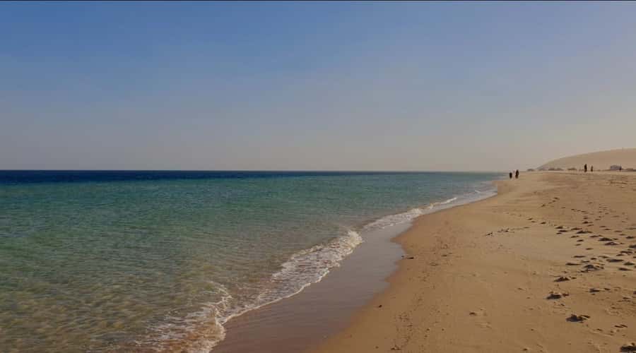Doha: Half Day Desert Safari With Camel Ride & Sand Boarding - Who will enjoy this safari most