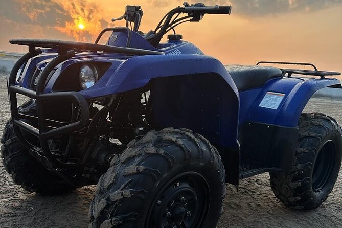 Doha-Half Day Safari with Quad Bike ATV/Camel Ride/sandboard - Sandboarding on the dunes