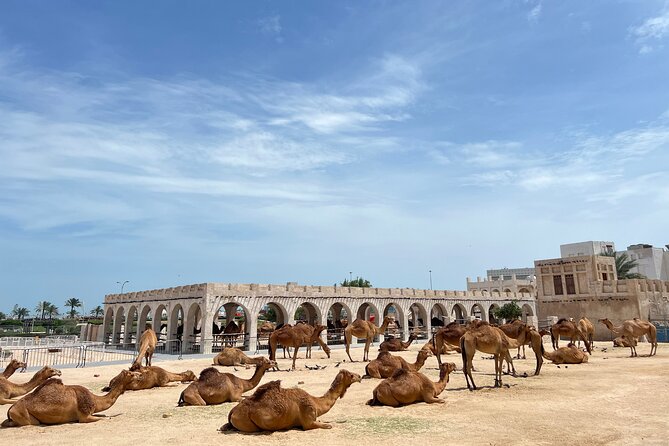 Doha Highlights Guided Tour With Dhow Cruise - West Bay, where old ideas meet new towers