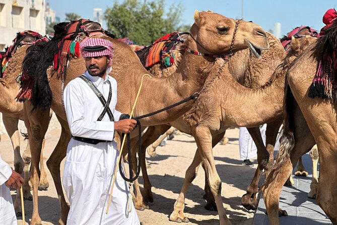 Doha Highlights Private City Tour with Licensed Tour Guide - What the guide adds to the experience