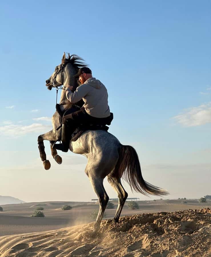 Doha : Horse Riding Tour With Transfer - Riding among the dunes at your own pace