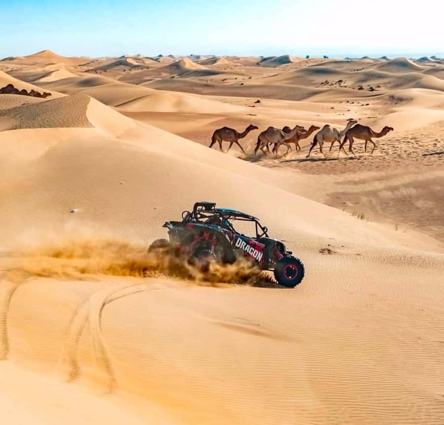 Doha: Inland Sea, Desert Safari, Camel Ride and Sandboarding - What the $17 price really gives you