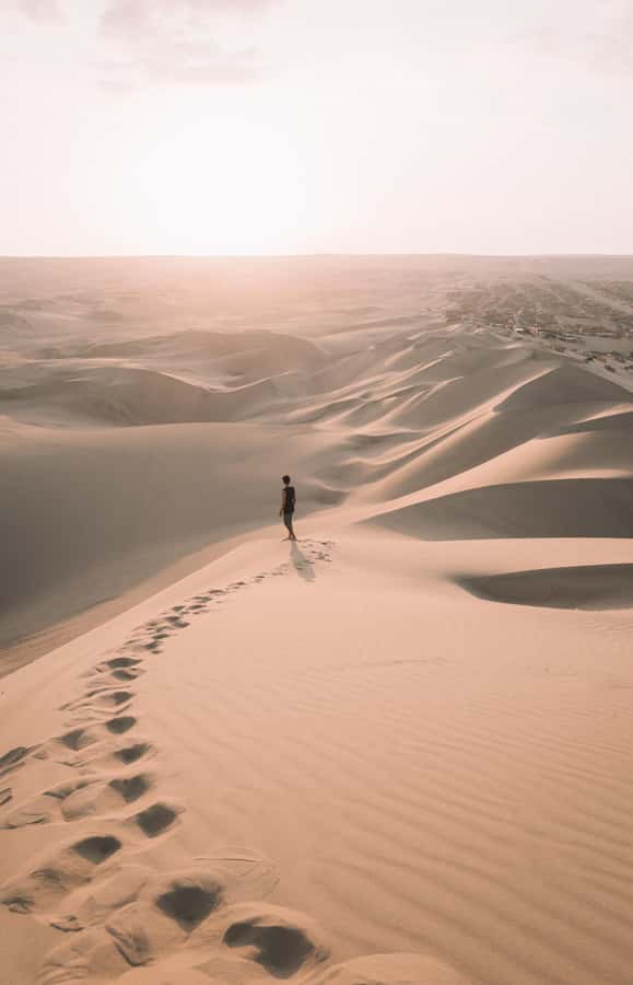 Doha : Inland Sea Desert Safari ,Camel Ride & Sandboarding - Sandboarding: A Simple Desert Challenge