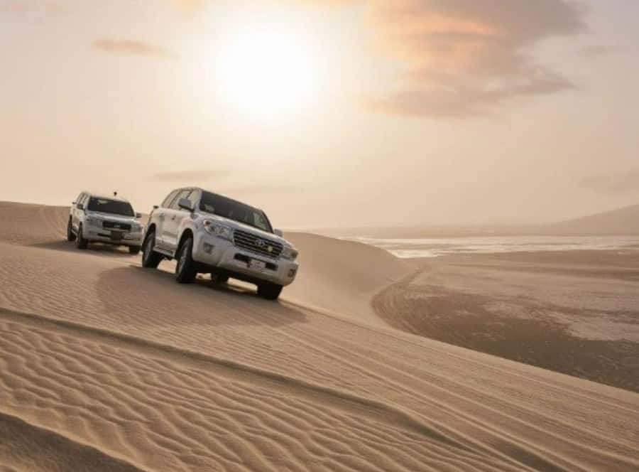Doha : Inland Sea Desert Safari ,Camel Ride & Sandboarding - The Camel Ride: Quiet Time Before the Action