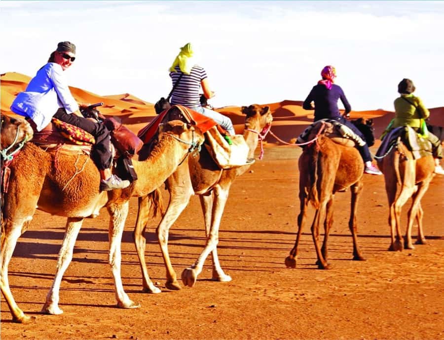 Doha: InlandSea Tour,Camel,Sand Boarding With All Activities - Quad biking is optional, not part of the basic fare