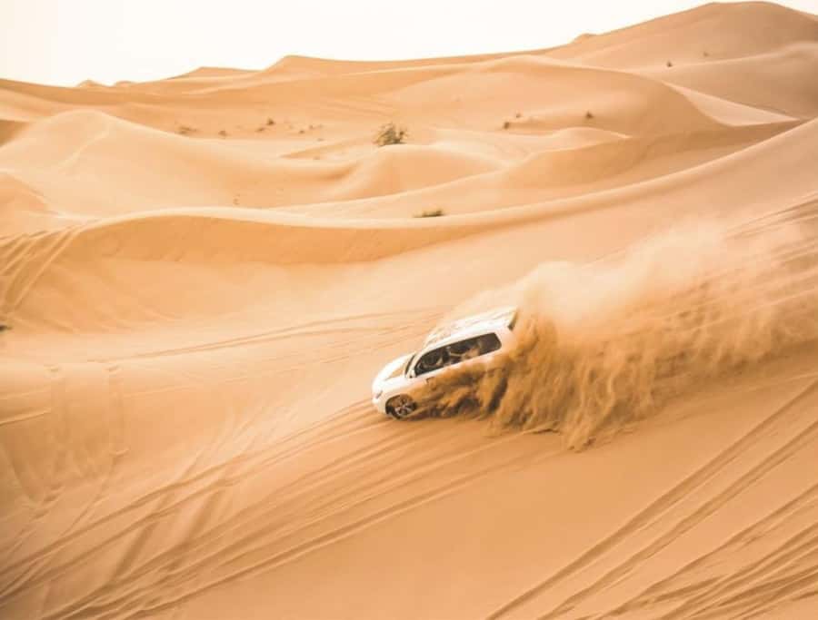 Doha: InlandSea Tour,Camel,Sand Boarding With All Activities - What the $13 price really means
