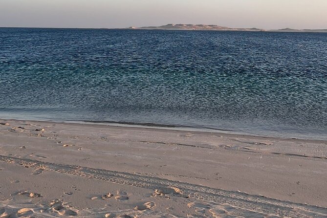 Doha Layover or Doha Stopover Tour with Desert & City Tour - Katara Cultural Village in 45 minutes