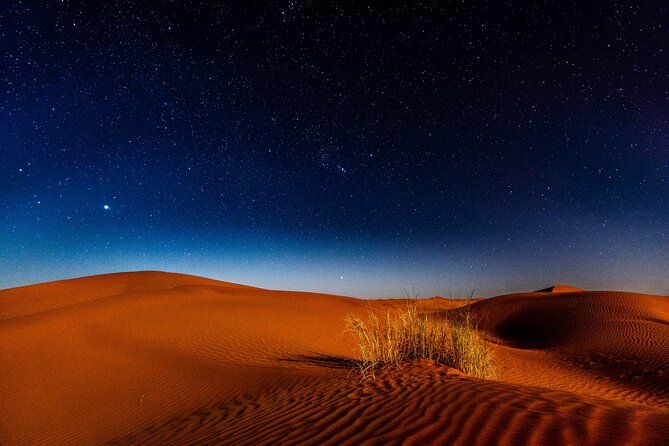 Doha Night Desert Safari Adventure - Dune bashing turns the ride into the activity