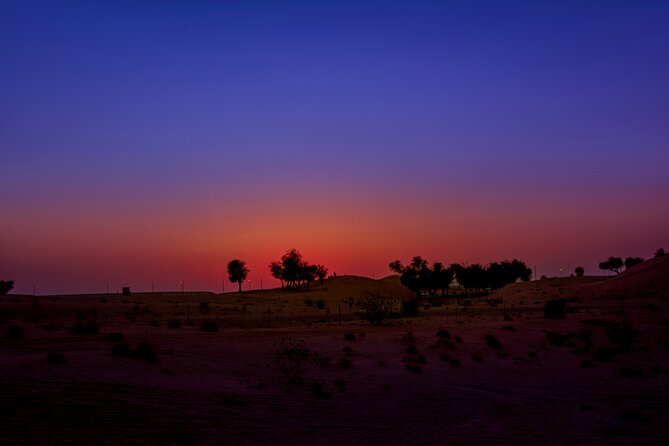 Doha Night Desert Safari Adventure - Who will enjoy this safari most?