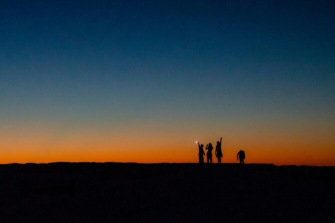 Doha Night Desert Safari Adventure - Should you book the Doha Night Desert Safari?