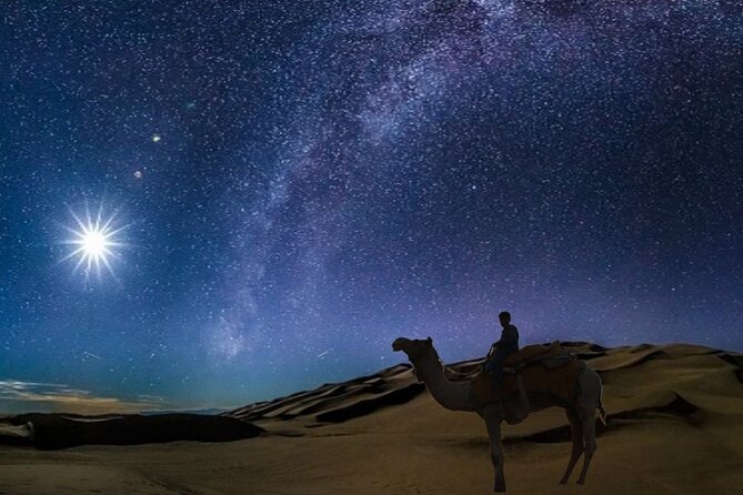 Doha Night Desert Safari Camel Ride Dune Bashing with Transfer - What this four-hour Doha desert trip is really like