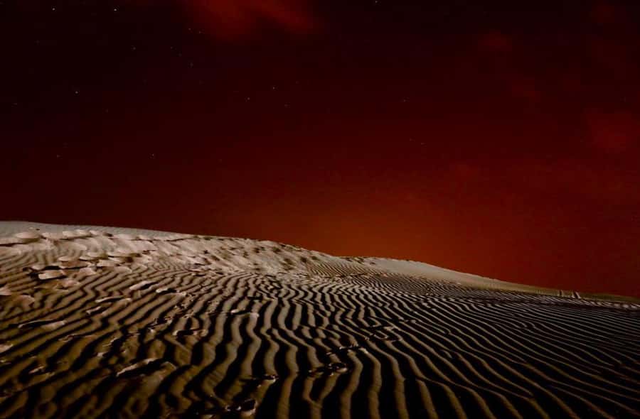 Doha Night Desert Safari Stargazing And Camel Ride - Key points to know before you book