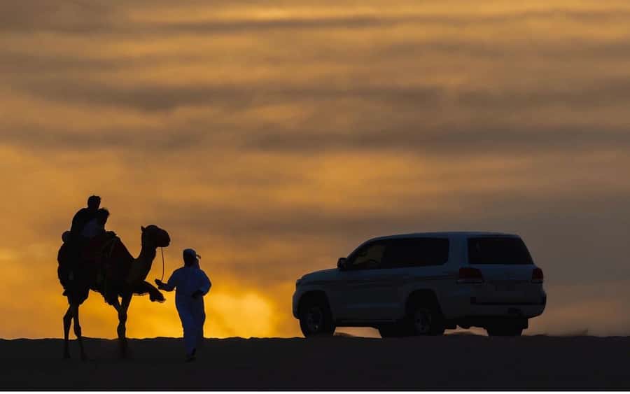 Doha Night Desert Safari Stargazing And Camel Ride - Who should book this desert evening?