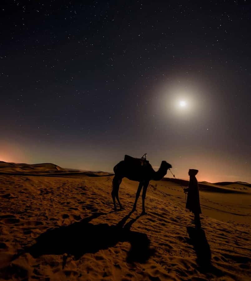 Doha Night Desert Safari Stargazing And Camel Ride - The Inland Sea after sunset