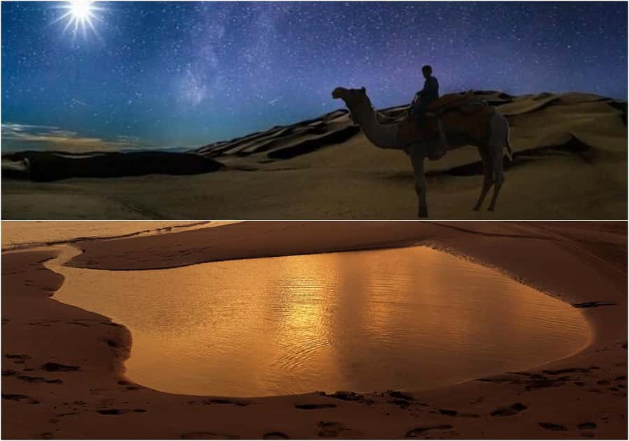 Doha Night Desert Safari Stargazing And Camel Ride - The guides make the difference