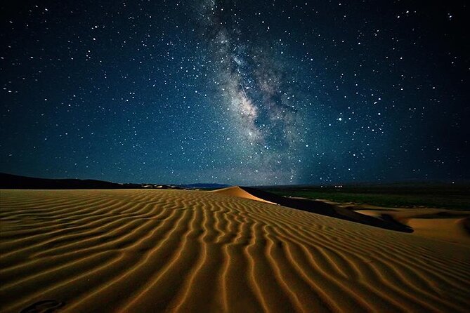 Doha Night Desert Safari Stargazing Camel Ride and Dune Bashing - Sealine Beach: camels, tea, and a gentler start