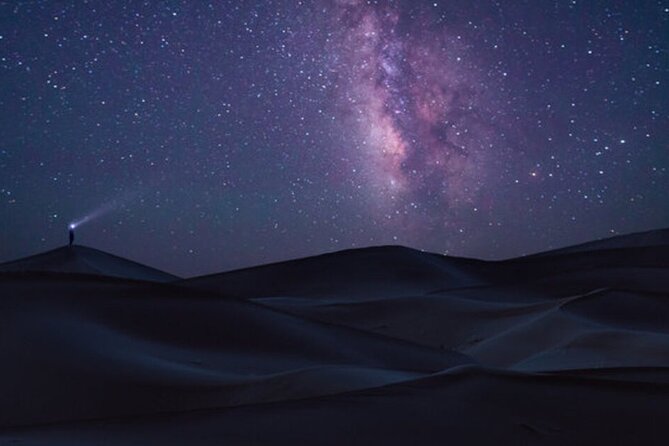 Doha Night Desert Safari Stargazing Dune Drive Camel Ride - From Doha to Qatar’s southern desert