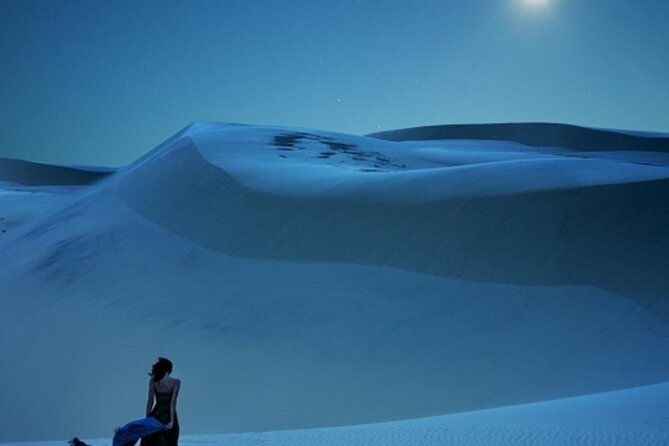 Doha Night Desert Safari Stargazing Dune Drive Camel Ride - Who will enjoy this desert safari most