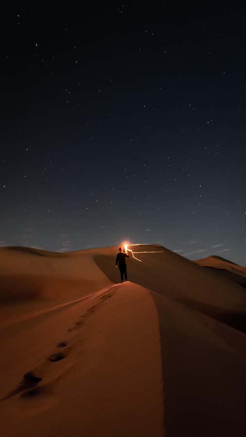 Doha: Night Desert Safari, Stargazing, Dune Driving &Inland - Key points to know before booking
